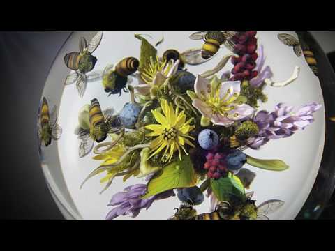 Salem Community College - Customer Success Story