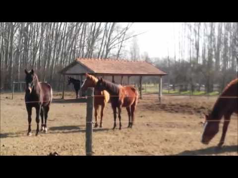 Hogyan kezeljük az ízületi injekciókat