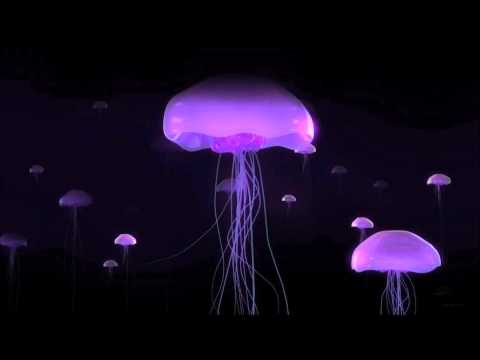 Tim Weise Overdrive Tribune Remix