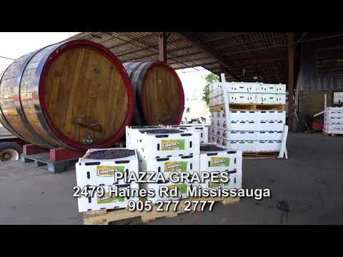 Rrush për raki dhe verë për klientët shqiptarë në Greater Toronto Area