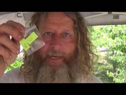 Nimbin Medican Outdoor Stalls