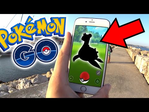 POKÉMON RARO PERTO DA PRAIA? - POKÉMON GO