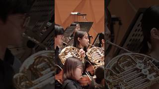 Download lagu #チャイ5 チャイコフスキー/交響曲第5番より第4楽章 #タクティオケ #オーケストラ #チャイコフスキー #orchestra mp3