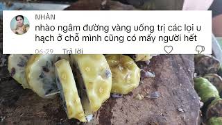 Đã nhiều người bị u hạch hết bệnh, còn bạn thì sao