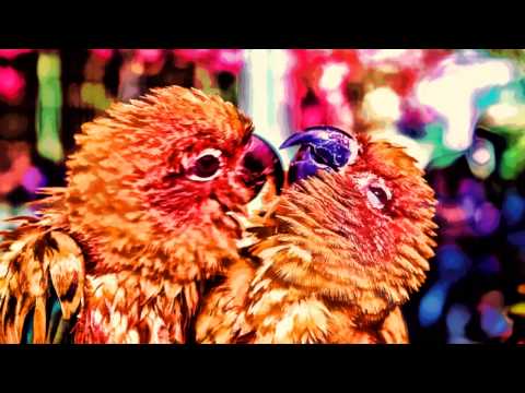 Love Birds (Currency/Wiz Khalifa Beat) - Mace Beats