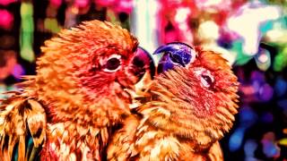 Love Birds (Currency/Wiz Khalifa Beat) - Mace Beats