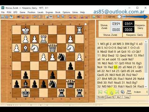 Garry kasparov and sturua zurab 1977  0 1   a74