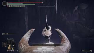 ELDEN RING:DLC#10