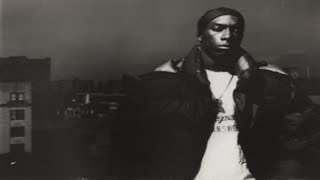 Big L &amp; Herb McGruff Freestyle (DJ Iroc)