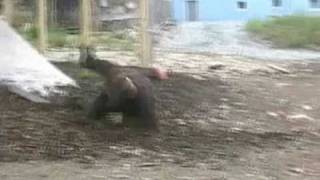 Lacrimas profundere my mescaline highspeed cut.mpg