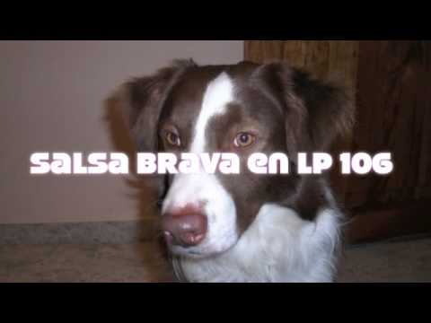 Salsa Brava en LP 106 - Muchachita - Conjunto Sabotaje