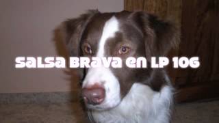 Salsa Brava en LP 106 - Muchachita - Conjunto Sabotaje