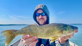 The Fall Walleye Fishing begins NOW!