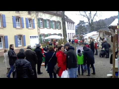 Středověká hudba Quercus Siersburg 2014   Cignus ustus