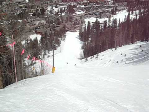 A raven going down Go Devil @Keystone