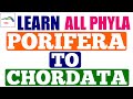 Animal Kingdom Trick | Learn All The Phyla Of Animal Kingdom In One Minute | SWARNIM BIOLOGY CLASSES Animal Kingdom Trick | Learn All The Phyla Of Animal Kingdom In One Minute | SWARNIM BIOLOGY CLASSES