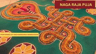 Naga Raja Puja with Radhakrishnan Namboodiri | Main Temple Satsang
