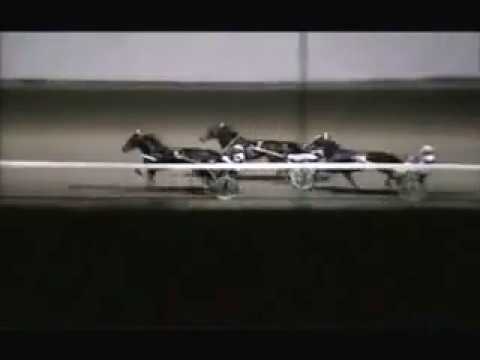1988 Pompano Park PEACE CORPS Breeders Crown 2yo Filly Trot