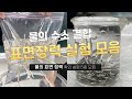 화학2 물의 표면장력 확인 실험 5종 모음.zip 물의 수소 결합 표면장력 확인 화학 실험 화학2 수소 결합