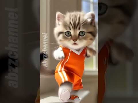 cute kitten 😱 #cat #cute #trending #shorts