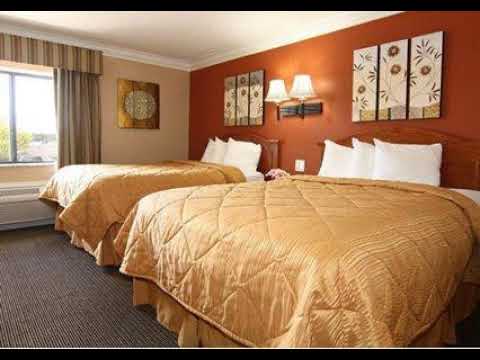 Quality Inn & Suites Atlanta Airport South - College Park, Atlanta (Georgia) - United States