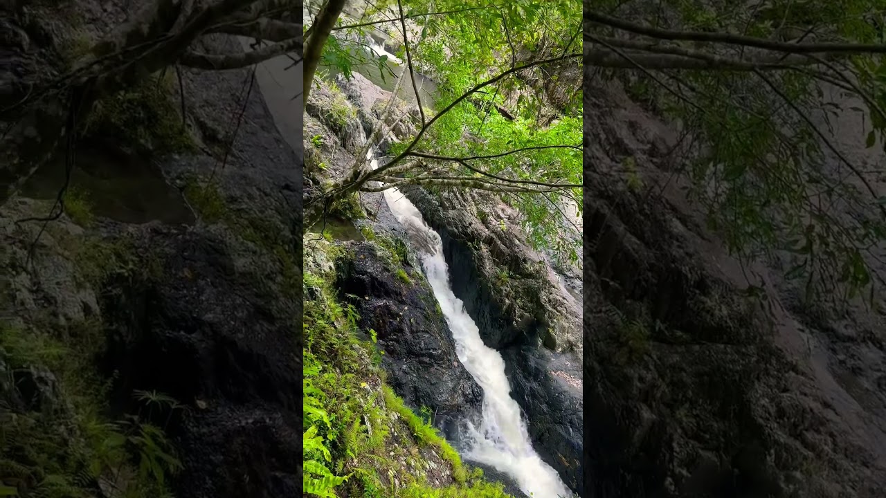 YouTube Short thumbnail