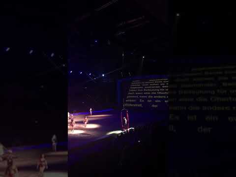 Haflinger Luber bei Cavalluna luna - Welt der Fantasie