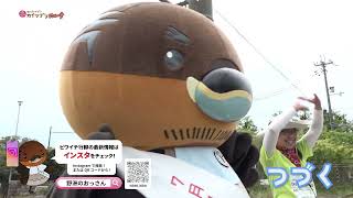 2026/6/1放送・知ったかぶりカイツブリにゅーす