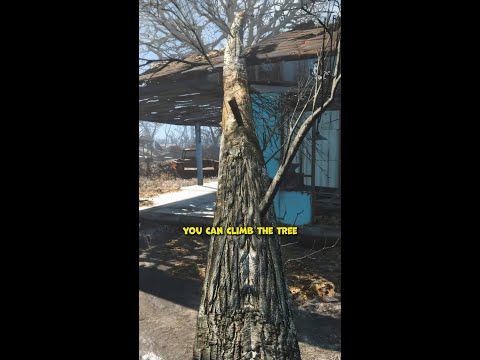 5 Secrets Every New Fallout 4 Player Should Know #fallout4