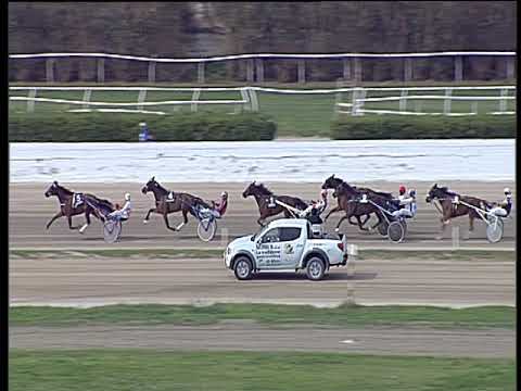 Trotto 16/04/2019 - 3ª corsa