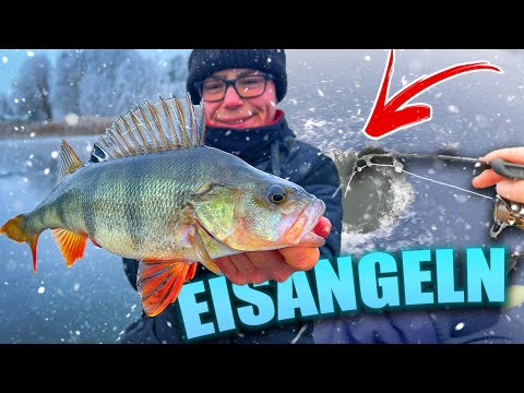 EISANGELN auf DICKE BARSCHE im Winter | Damit haben wir nicht mehr gerechnet!
