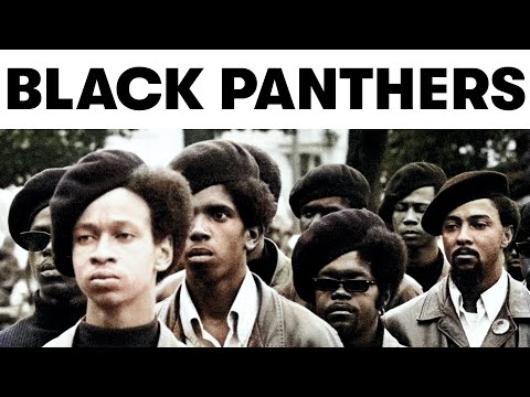 The Black Panthers - A Quick History