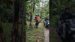 Download lagu Awas ada sule mp3