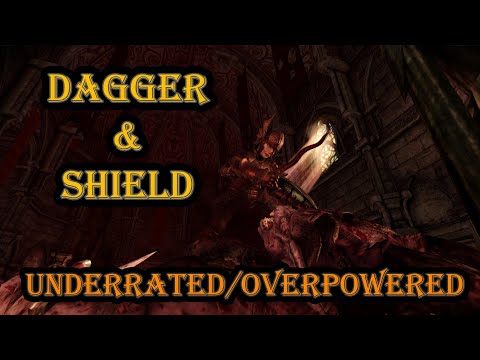 The DAGGER & SHIELD warrior is awesome! - Dragon Age Origins