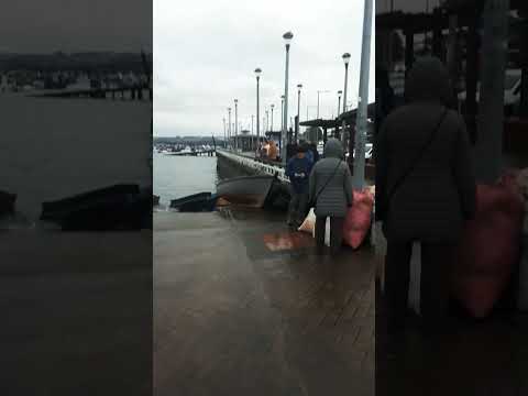 PASEO DE DIA DOMINGO DALCAHUE❤❤❤❤🙌🇨🇱🇨🇱🇨🇱🇨🇱🇨🇱🇨🇱