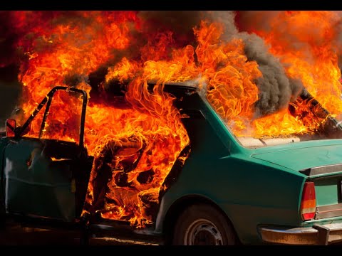 Riciu x Zellu - Paranoia