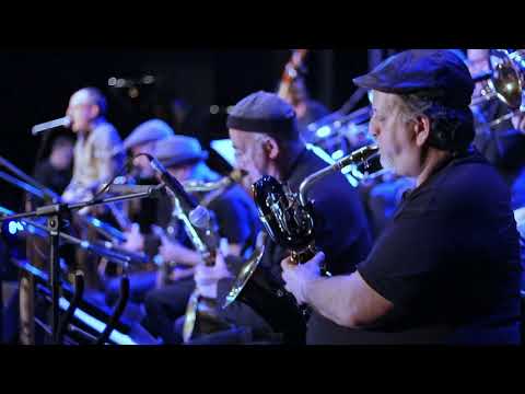 Stingology-Englishman in New York