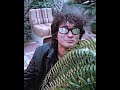 “On the table’s a jar, in the jar a tulip…” | Viktor Tsoi Lyric Moment