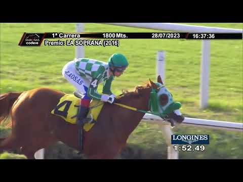 230728 c01 CANCION MALEVA