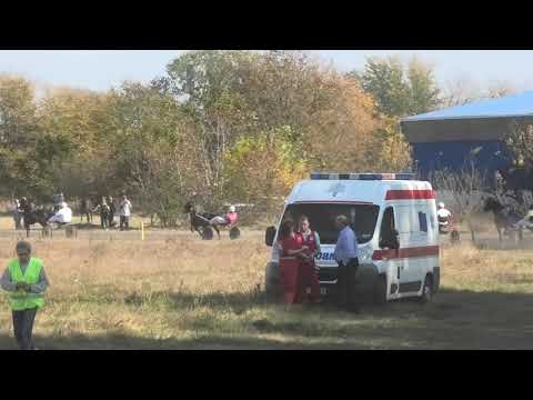 Trka "Schnack" 11.10.2018 Dik November-Milan Tasić