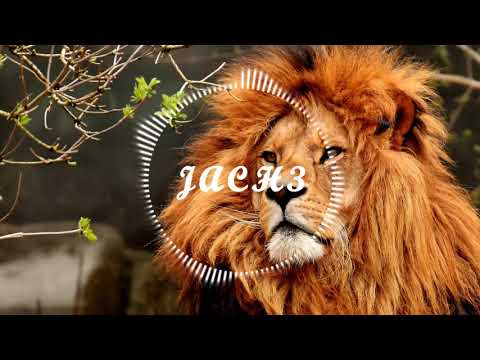 Toby Green vs We The Lion vs. Bassjackers - Check This Out /So Fine/ Mush Mush ( Jach3 Mashup)