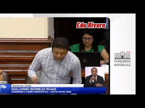 Debate on Amnesty of Fines for Foreigners in Congress