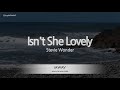 Stevie Wonder-Isn't She Lovely (Karaoke Version)