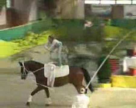 Mary McCormick - Freestyle RI @ CVI** Krumke