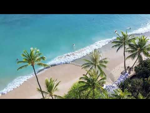 Beaucoup Bucks   Lasse Lyx