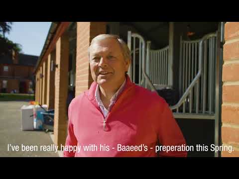 Champion miler, Baaeed's preparation ahead of the 2022 Al Shaqab Lockinge