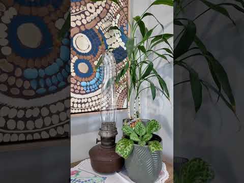 11 Norman Court, Echuca, VIC 3564, 4 Kuwarto, 2 Banyo, House