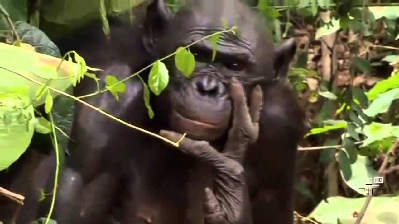 Matéria de Capa | Caminhada do Homem | 29/03/2015