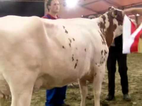 Miss Schöneuter BEA 2012