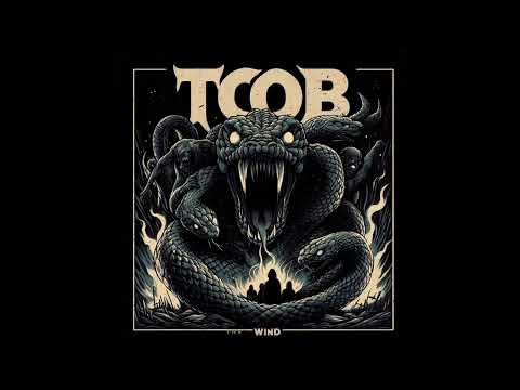 TCOB - The Wind